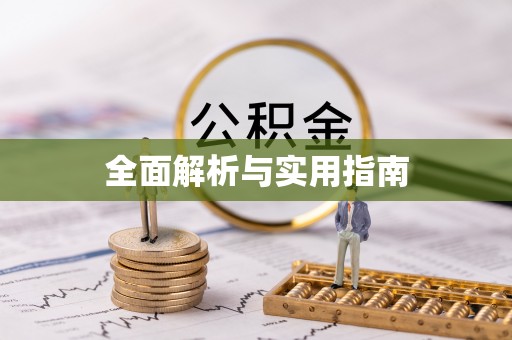 吴川全面解析与实用指南