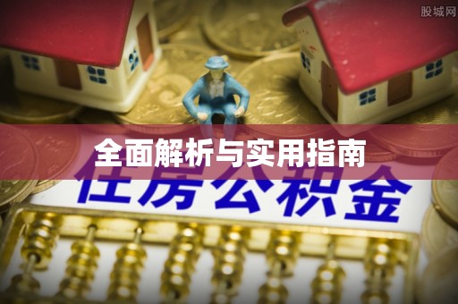 吴川全面解析与实用指南