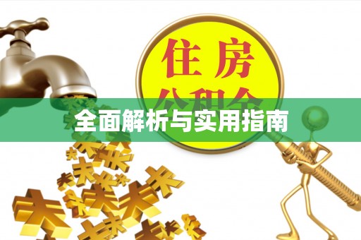 吴川全面解析与实用指南